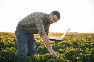 agronomist inspecting soya bean crops growing in t 2023 11 27 05 06 35 utc